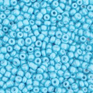 Seed beads 11/0 (2mm) Light blue